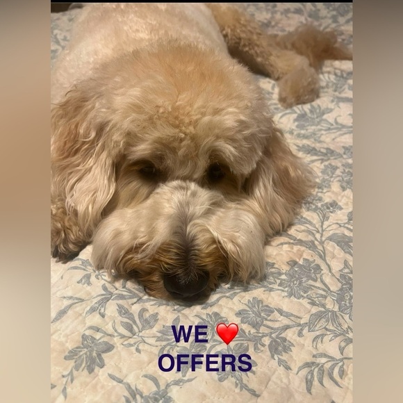 None Other - We love to receive offers